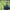 A smiling man in a blue helmet, glasses, and gloves holds the Dropshipman Hover Air X1 Pro 4K drone above his palm in a forest. Text: 