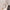 A set of GENAI P2961 Wireless Headphones by HeadphoneHeat is displayed on a beige background next to a smartphone featuring a music app. Text above states: 